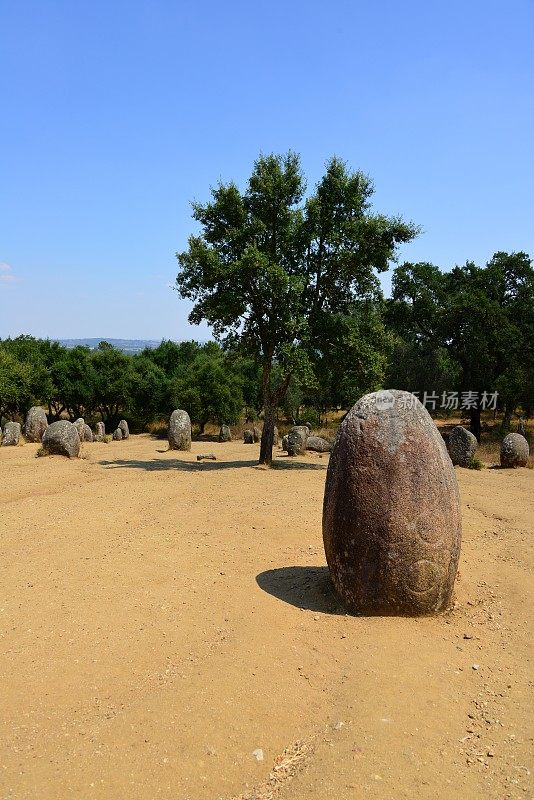 Almendres Cromlech -雕刻在一个menhir上的圆圈-公元前6千年的巨石复合体，?vora, Alentejo，葡萄牙